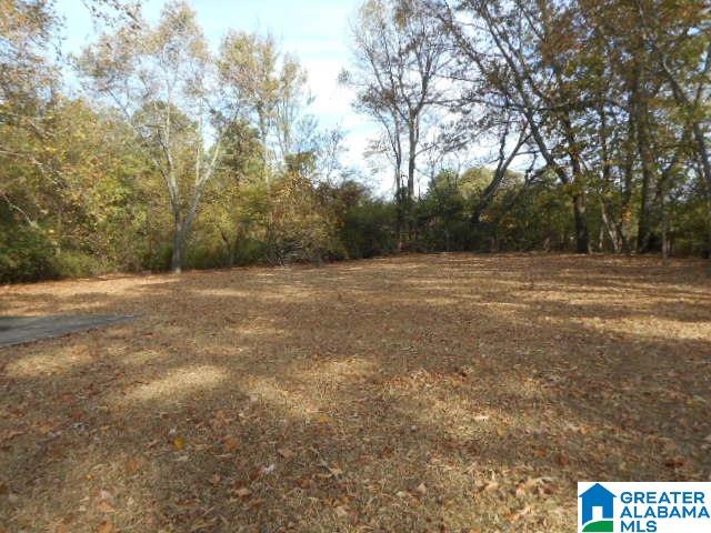 1020 Tarrant Huffman Road Birmingham, AL 35217 - Photo 5 of 35 Gallery Image 5
