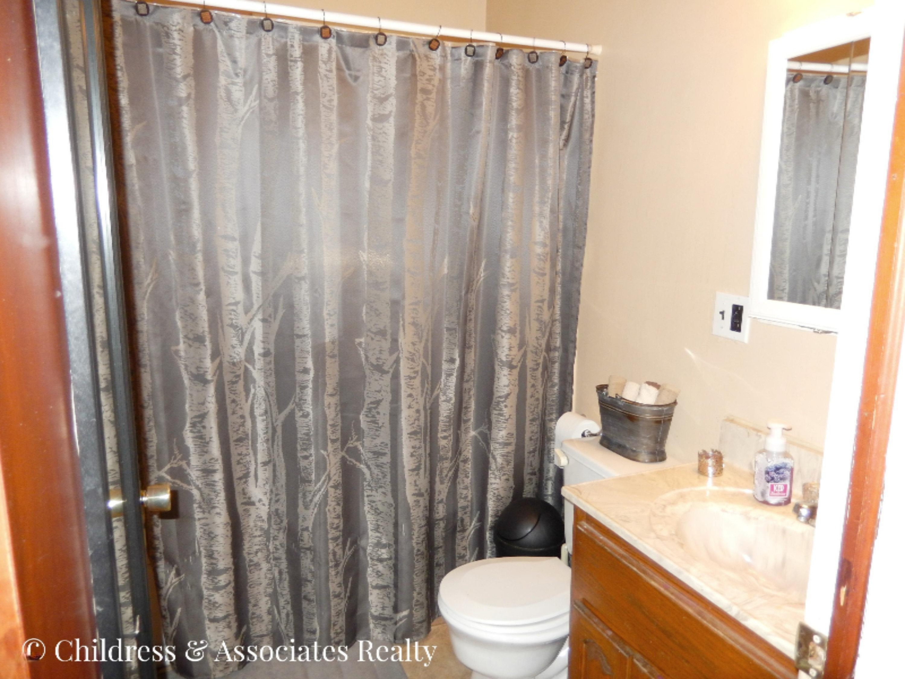 160 State Road Newaygo, MI 49337 - Photo 17 of 20 bath 1-edit.jpg