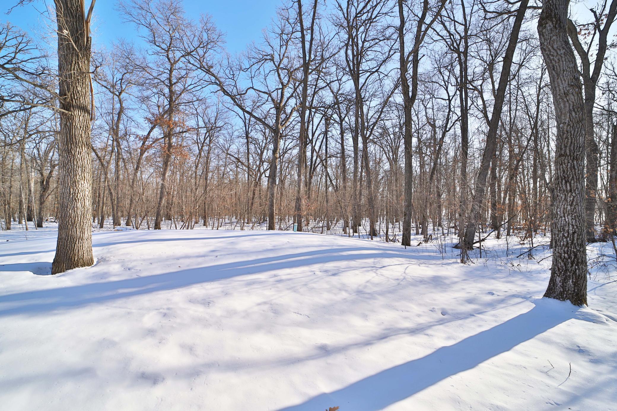 27477 Ode Circle Browerville, MN 56438 - Photo 33 of 36