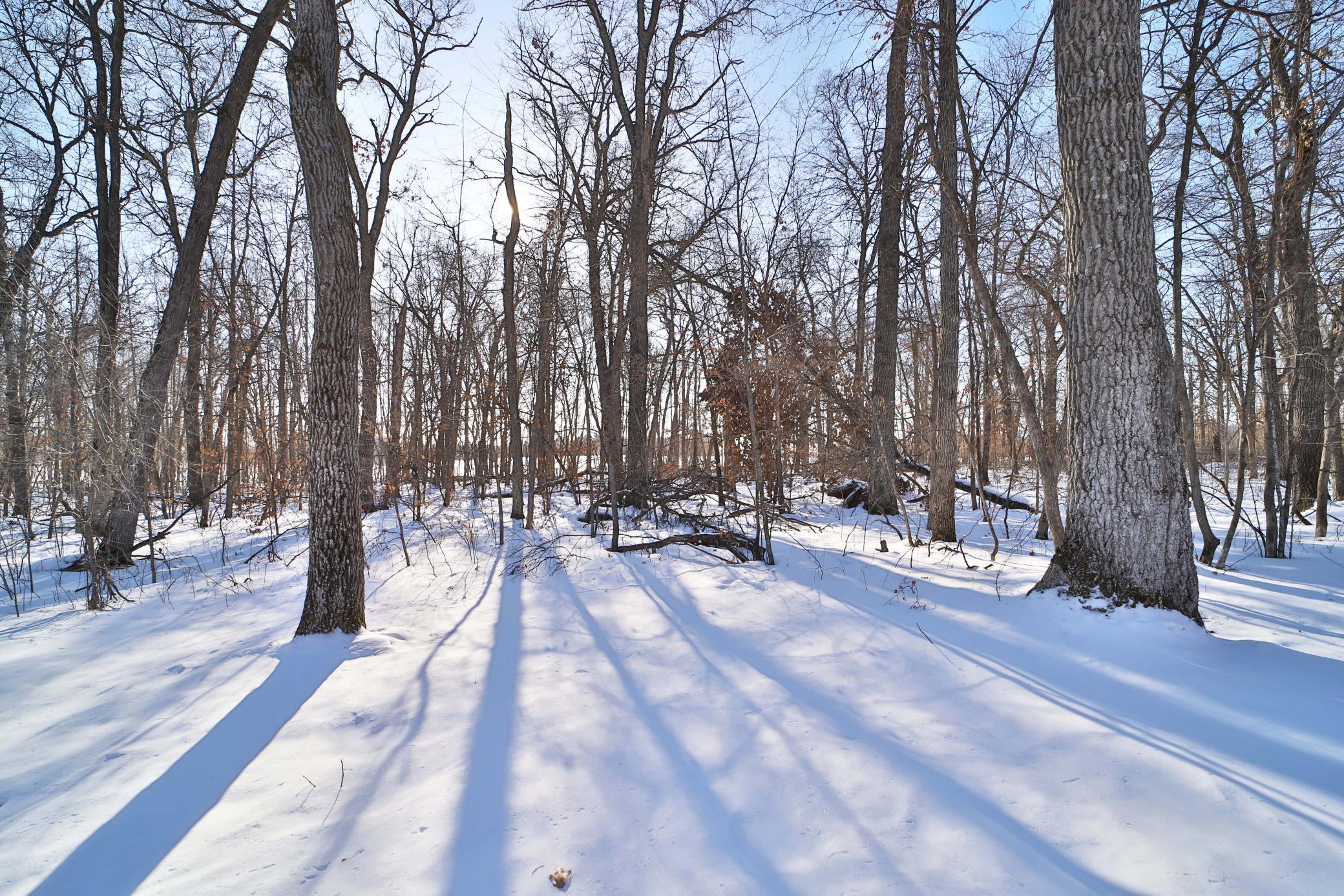 27477 Ode Circle Browerville, MN 56438 - Photo 34 of 36