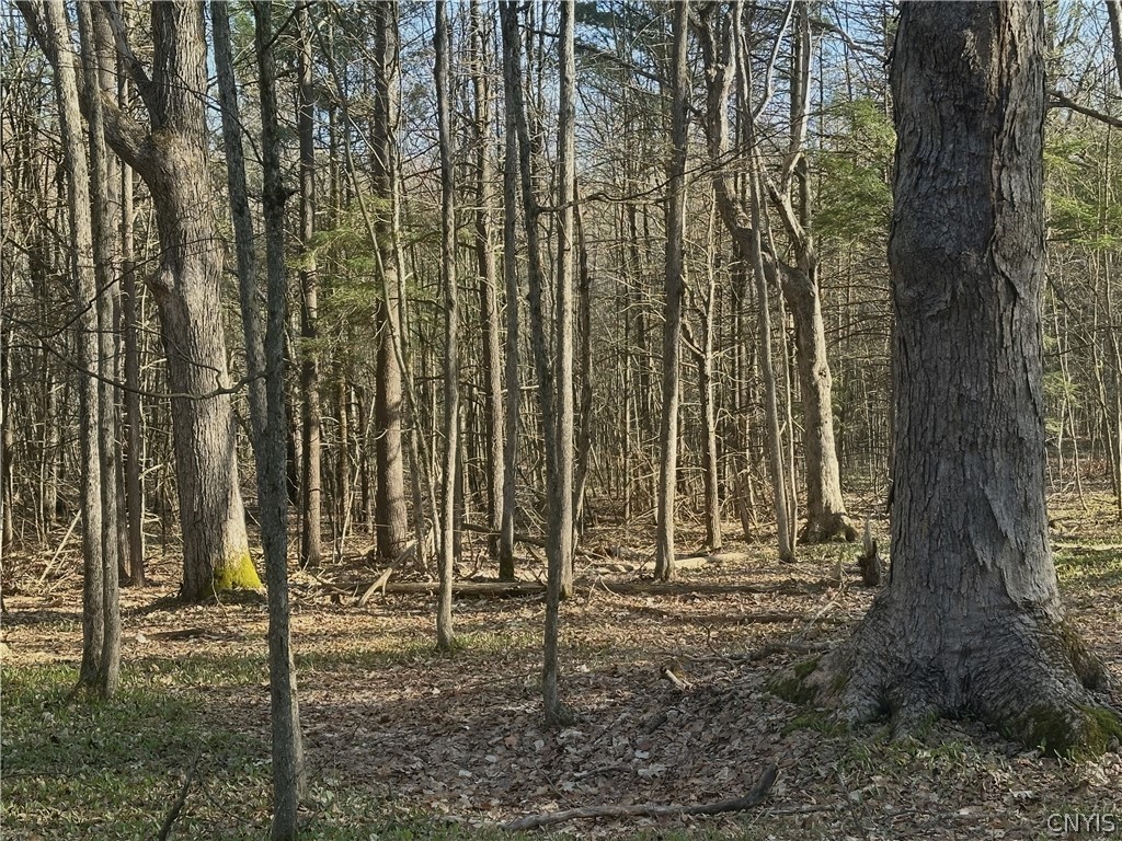 0 Lead Mine Road Redwood, NY 13679 - Photo 3 of 5