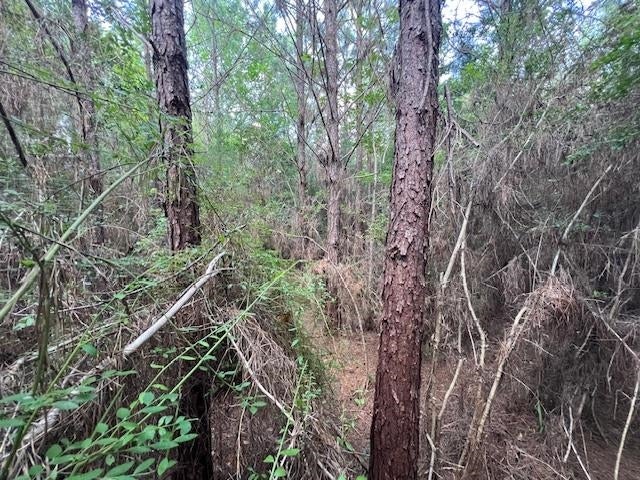Tba Laird Road Florala, AL 36442 - Photo 18 of 20 Gallery Image 18