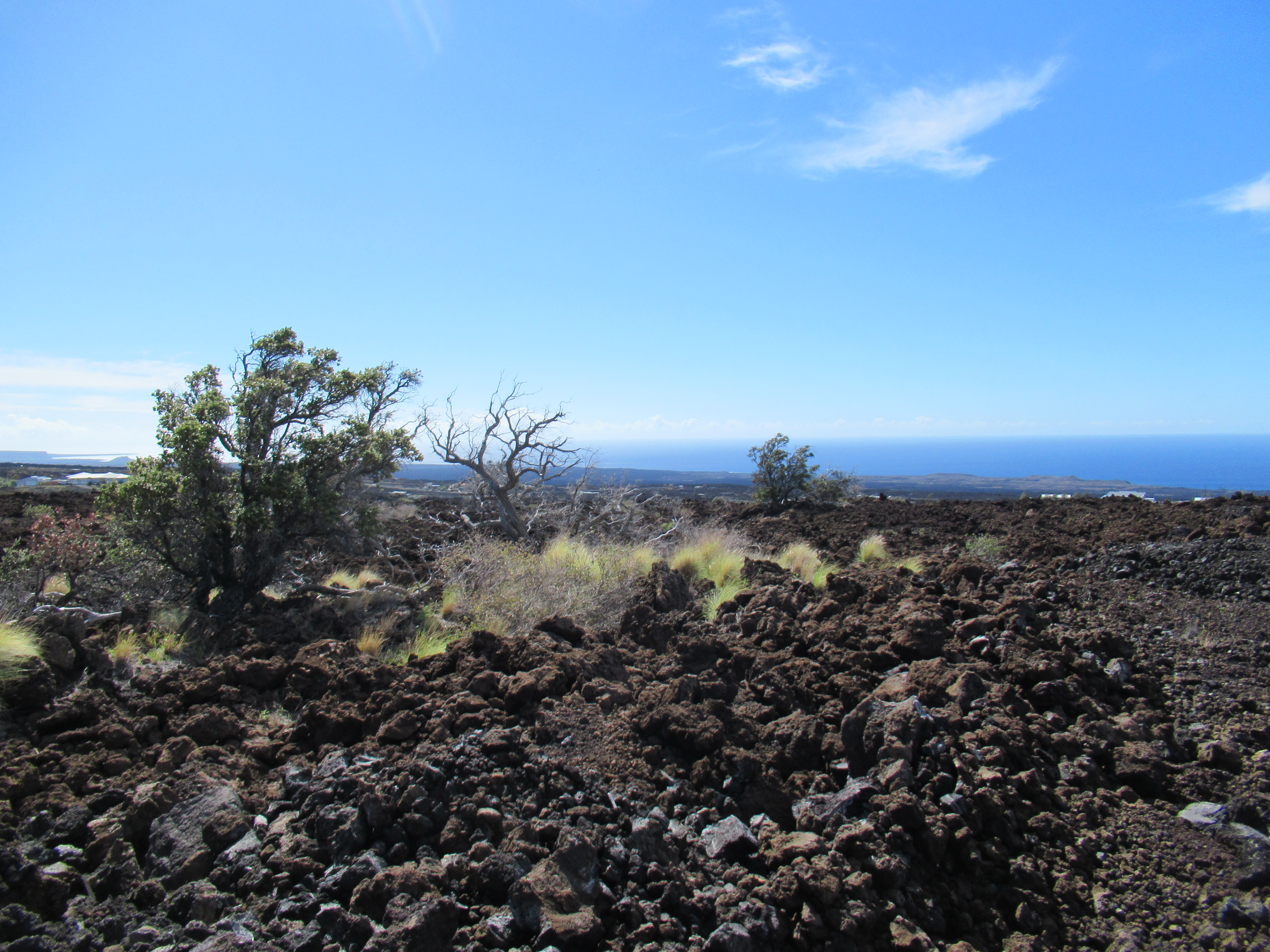 1 Hokulani Boulevard Ocean View, HI 96704 - Photo 1 of 6 a view of a bunch of trees in a field