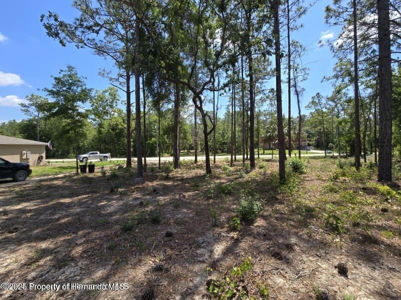 0 Catbird Road Weeki Wachee, FL 34614 - Photo 2 of 6