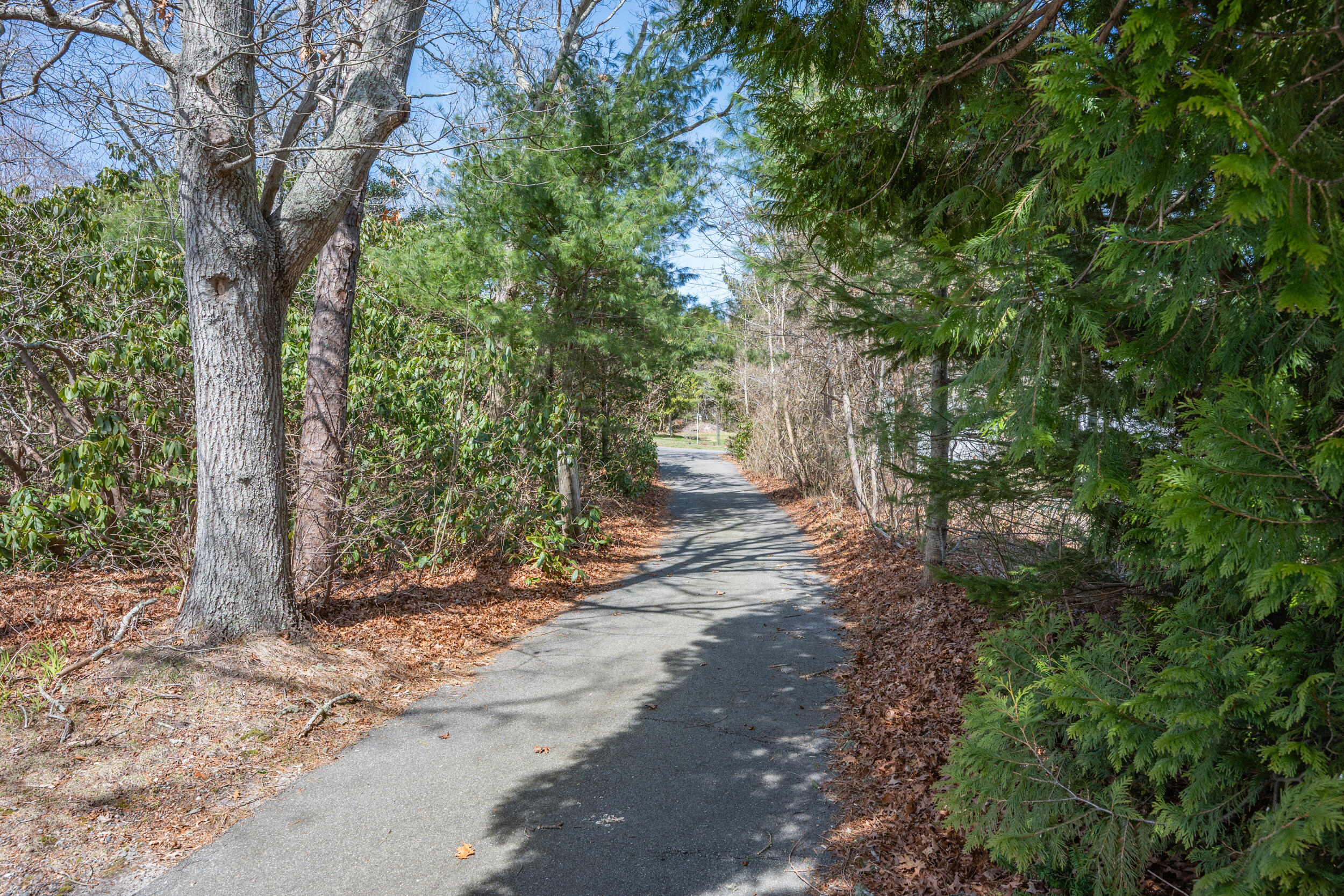27 Head Of The Bay Road Buzzards Bay, MA 02532 - Photo 36 of 43 a view of a yard with plants and trees