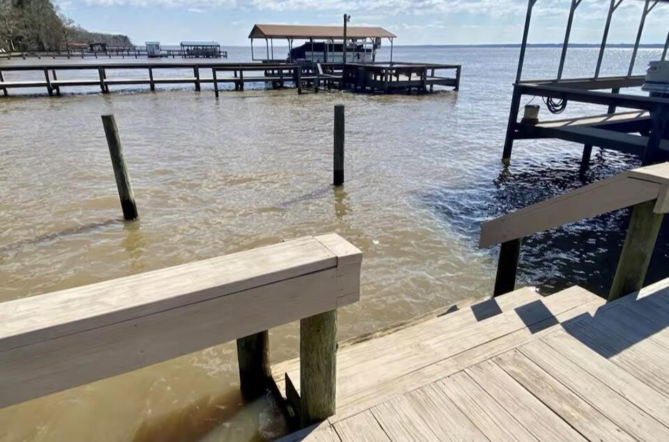 3972 Princess Pond Road Summerton, SC 29148 - Photo 33 of 35 IMG_3177