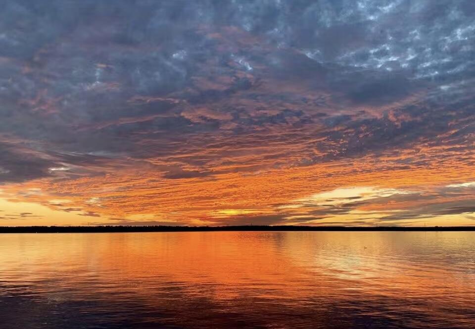 3972 Princess Pond Road Summerton, SC 29148 - Photo 35 of 35 IMG_3175