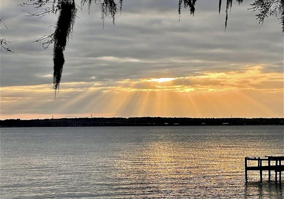 3972 Princess Pond Road Summerton, SC 29148 - Photo 4 of 35 IMG_3167