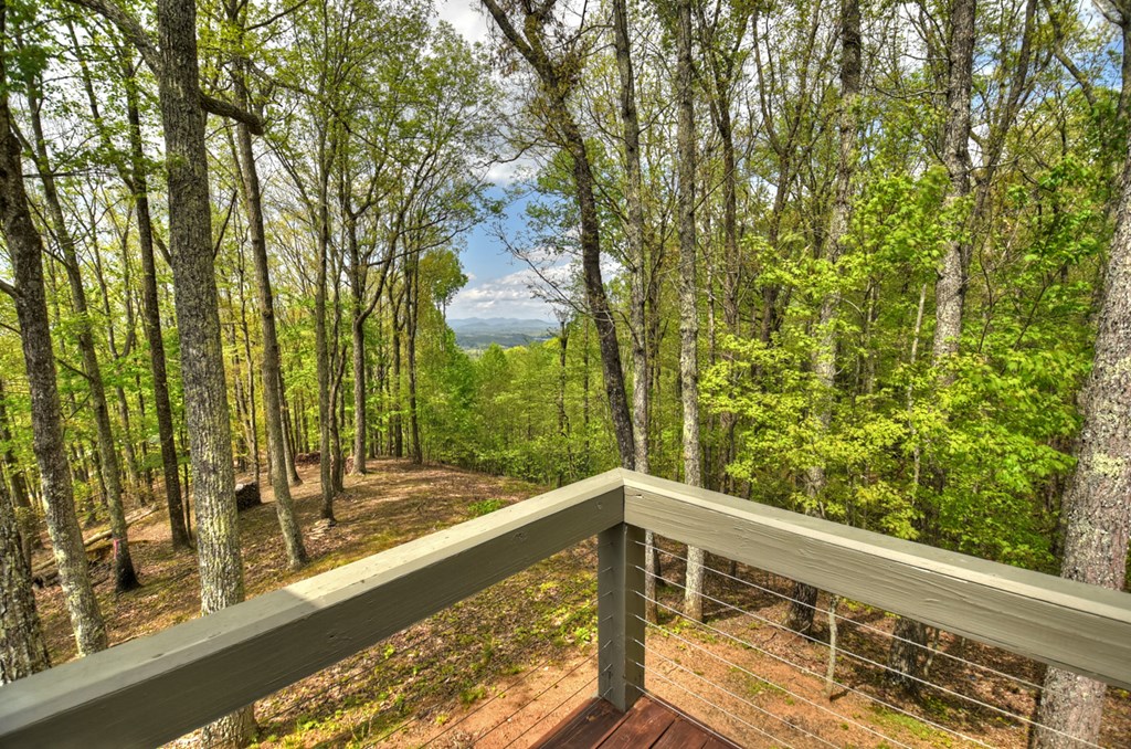 253 Green Ridge Mountain Blue Ridge, GA 30513 - Photo 50 of 59 Gallery Image 50