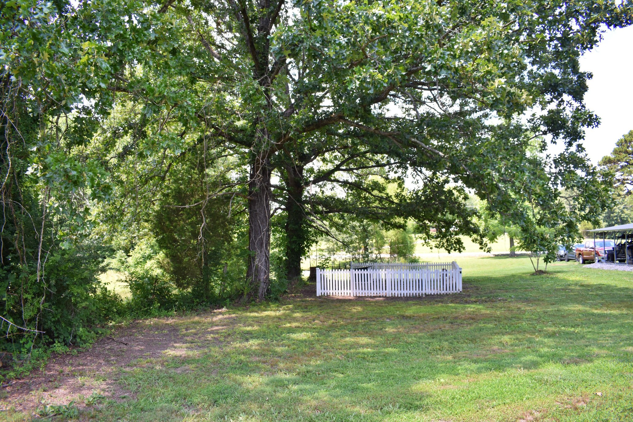 5858 Wolf Creek Road Spring City, TN 37381 - Photo 51 of 76