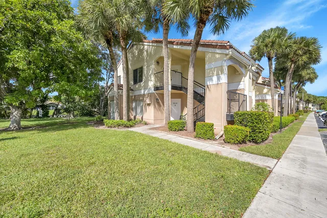 a view of a big yard with palm trees
