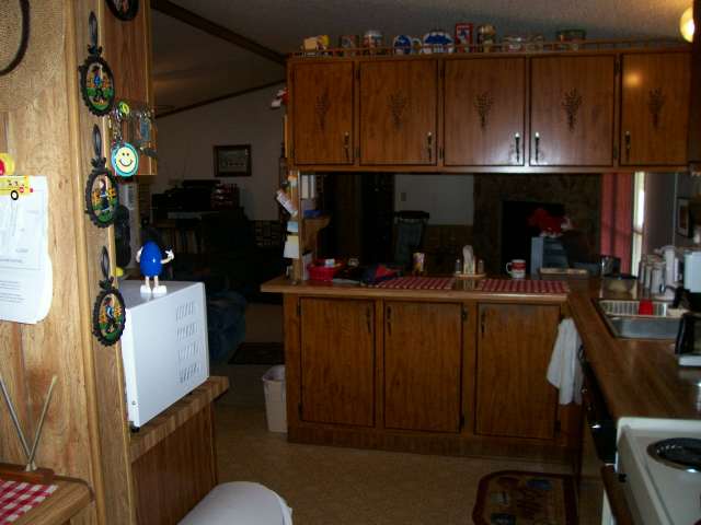 513 Black Snake Road Easley, SC 29640 - Photo 3 of 13
