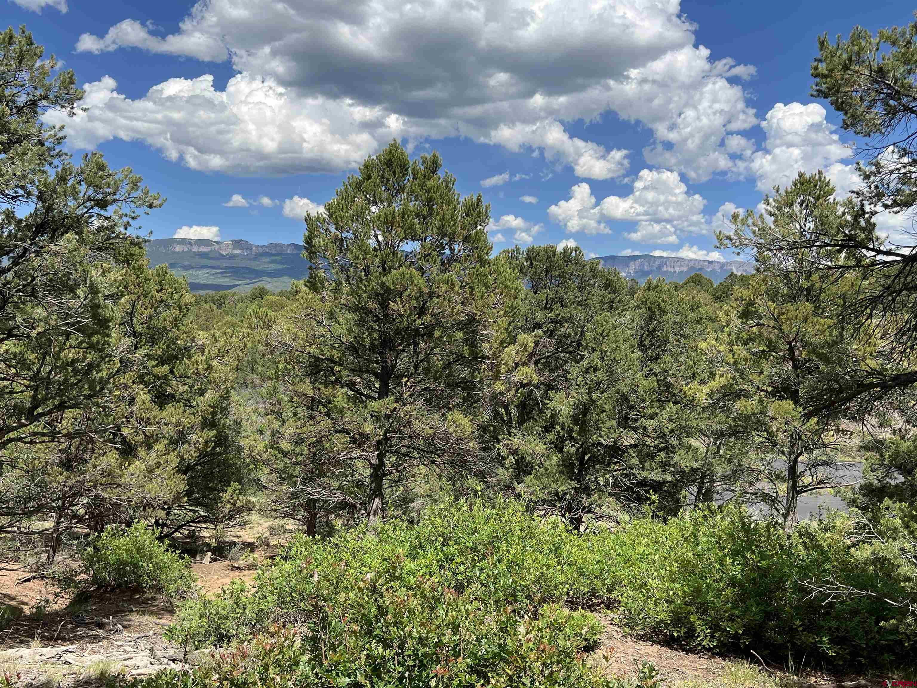 Lot 9 Pointe Escape Drive Ridgway, CO 81432 - Photo 16 of 33