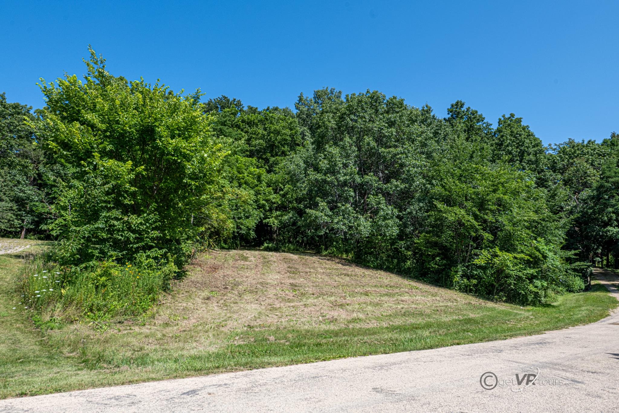12 Saddleback Road Galena, IL 61036 - Photo 3 of 14 a view of a yard with a tree