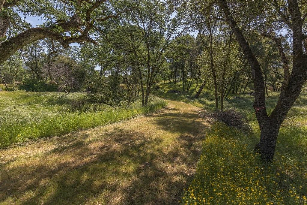 4260 Miwuk Road Mariposa, CA 95338 - Photo 54 of 69 Gallery Image 54
