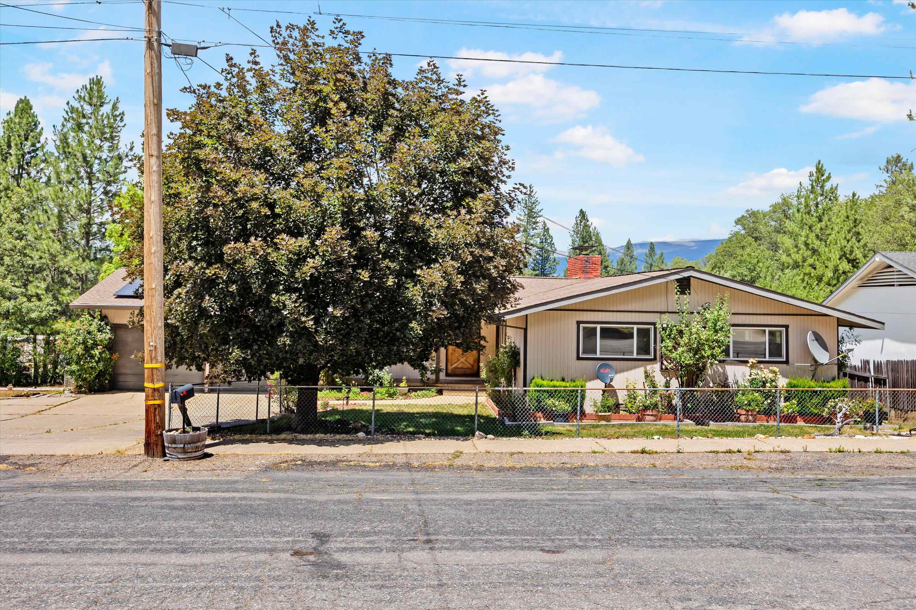 355 Stephan Way Quincy, CA 95971 - Photo 8 of 39