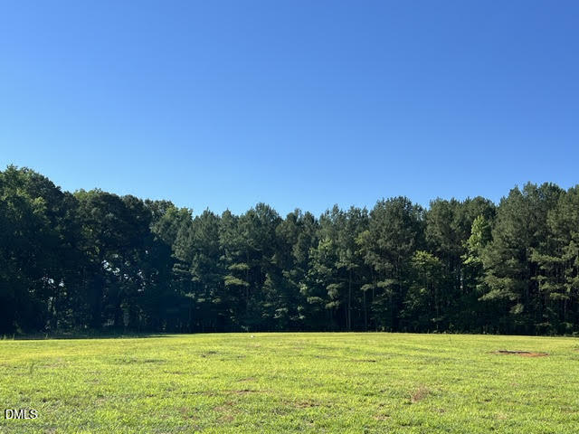 153 Big Pine Road Clayton, NC 27520 - Photo 20 of 20 5BP22