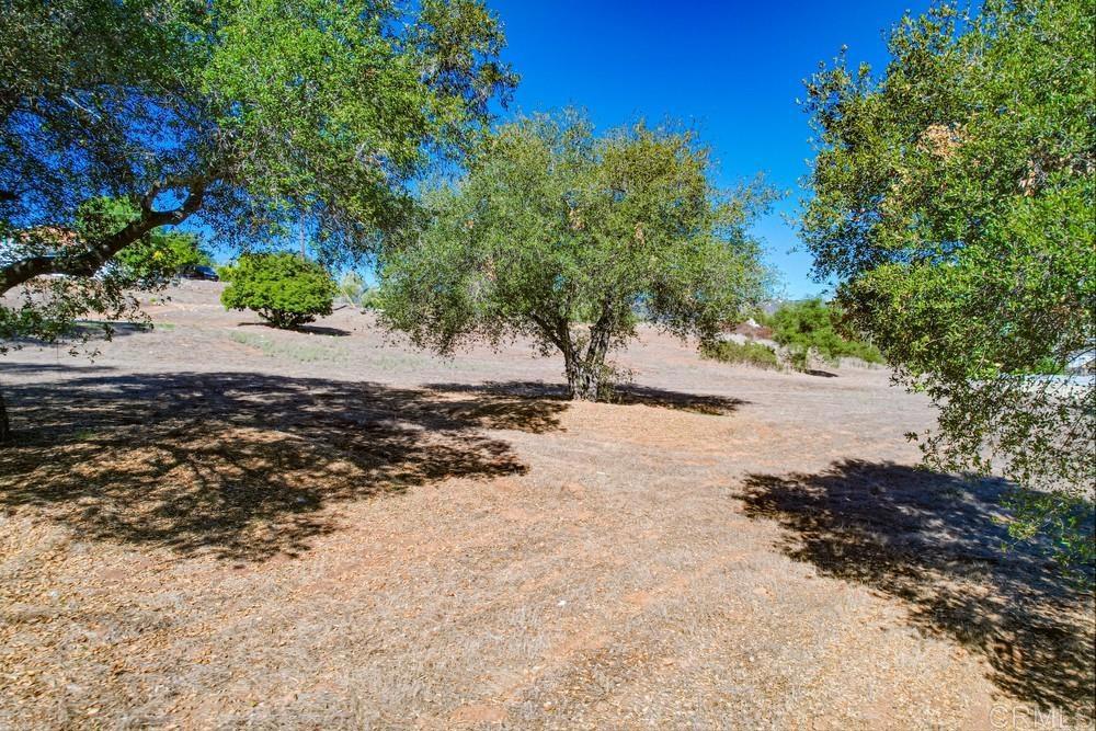 502 East Elder Street Fallbrook, CA 92028 - Photo 45 of 58 a view of a dirt road with trees in the background