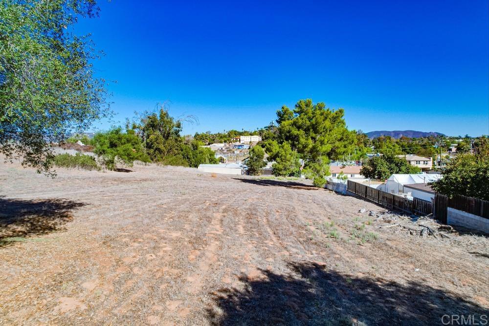 502 East Elder Street Fallbrook, CA 92028 - Photo 46 of 58 a view of a plants