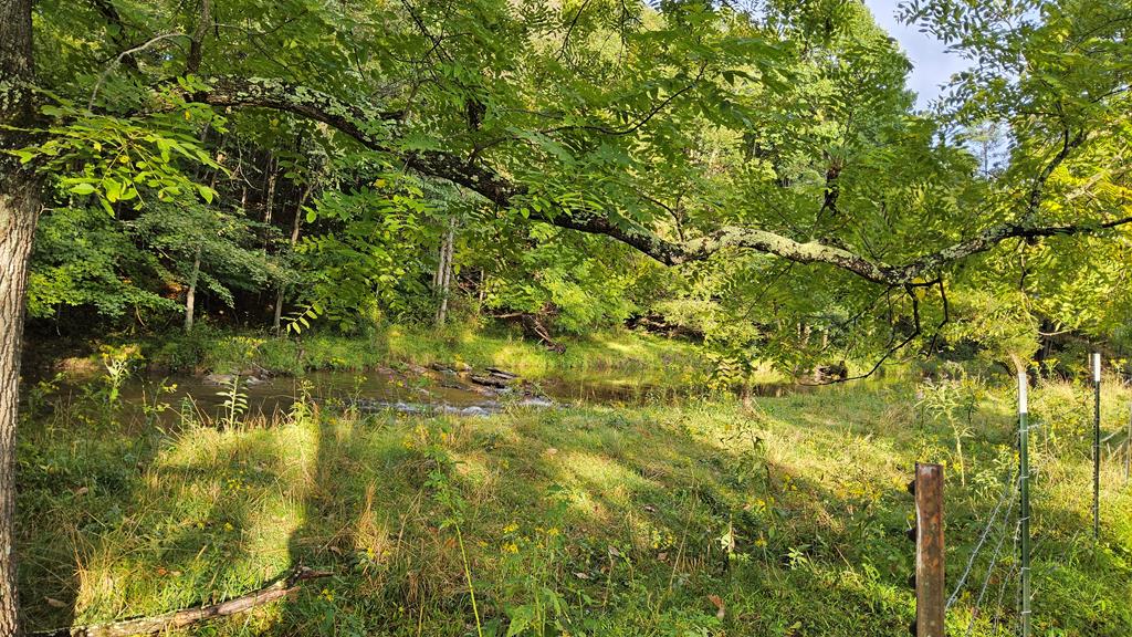 1421 Sunset River Road Ceres, VA 24318 - Photo 50 of 56 Gallery Image 50