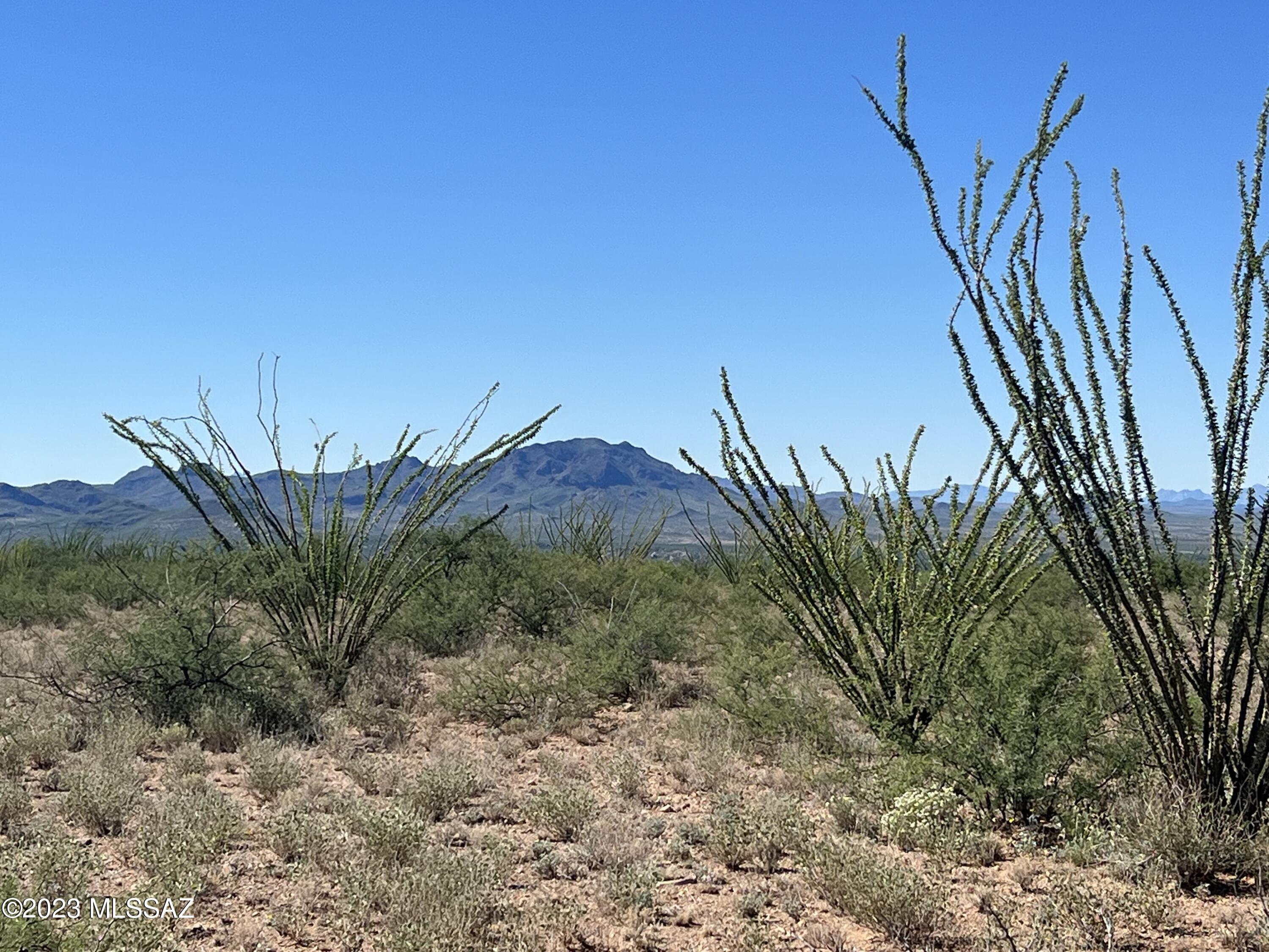 Tbd Camino Nacozari, Unit 71 Rio Rico, AZ 85648 - Photo 10 of 19 Enjoy Desert Life