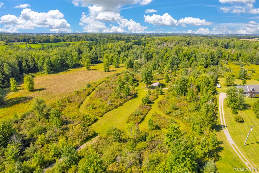 0 East Wellman Line Road Yale, MI 48097 - Photo 11 of 16