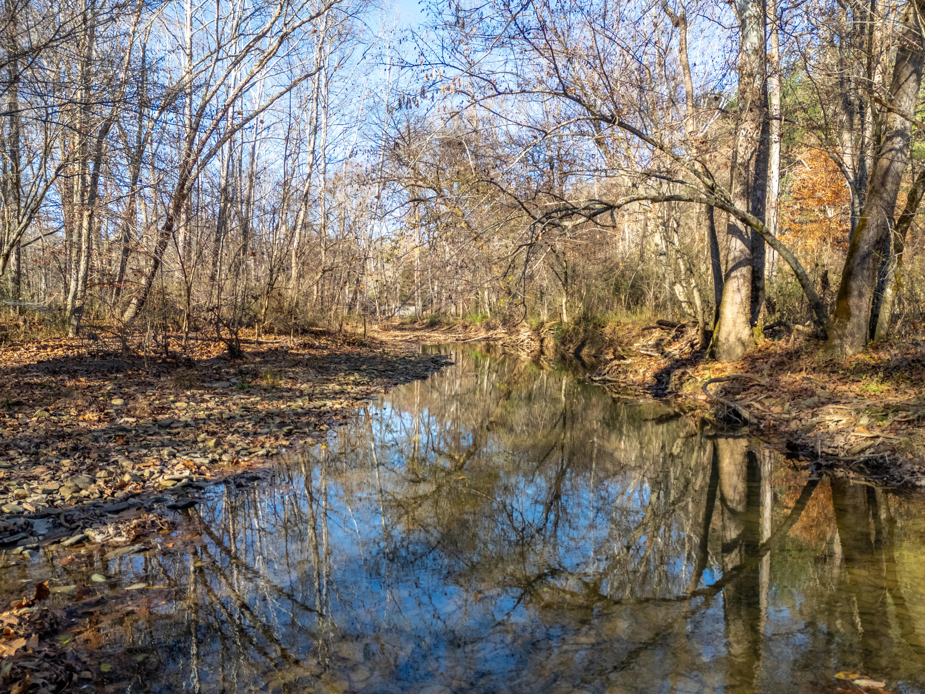 4135 Bullfork Road Morehead, KY 40351 - Photo 21 of 32 DJI_20251117144547_0057_D-HDR