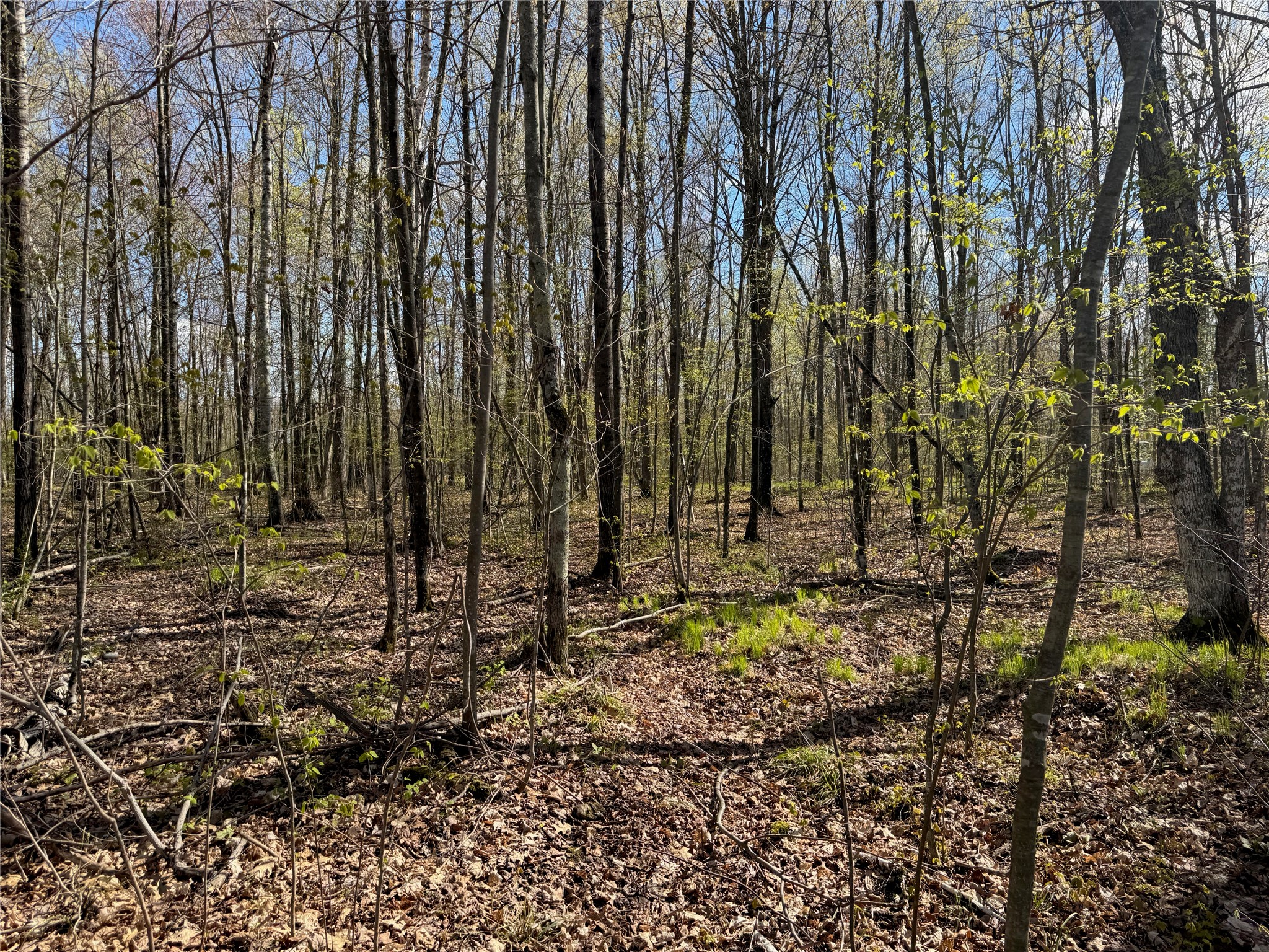 Lot 7 Trapper Trail Hayward, WI 54843 - Photo 33 of 42
