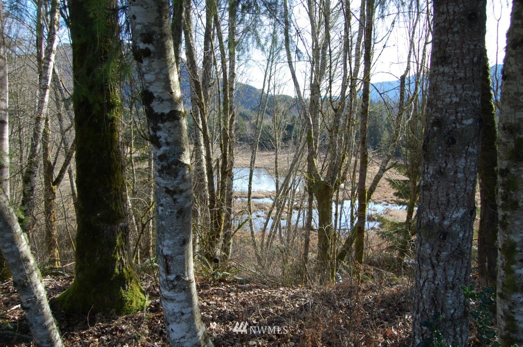 657 20 Falls Road Randle, WA 98377 - Photo 11 of 15 Gallery Image 11