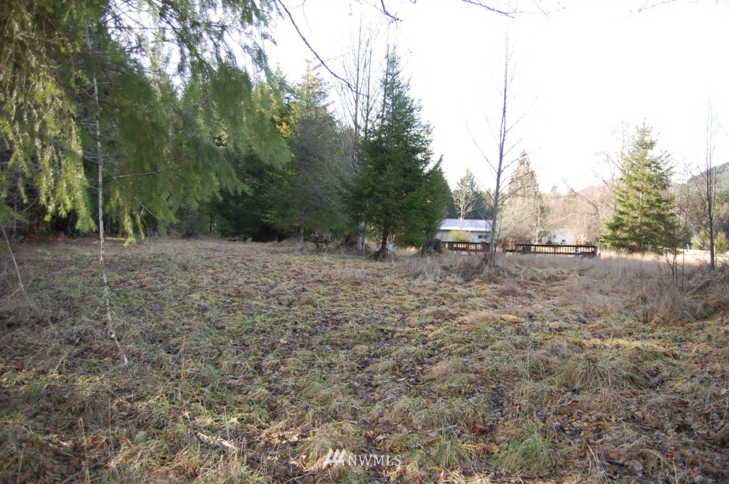 657 20 Falls Road Randle, WA 98377 - Photo 12 of 15 Gallery Image 12