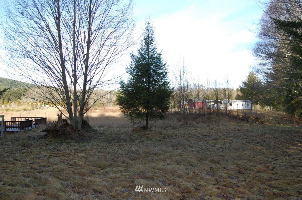 657 20 Falls Road Randle, WA 98377 - Photo 15 of 15 Gallery Image 15