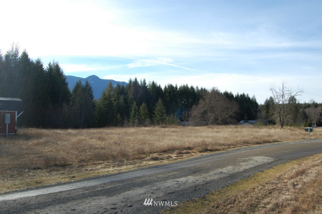 657 20 Falls Road Randle, WA 98377 - Photo 9 of 15 Gallery Image 9