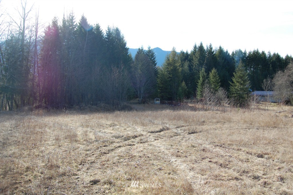 657 20 Falls Road Randle, WA 98377 - Photo 10 of 15 Gallery Image 10