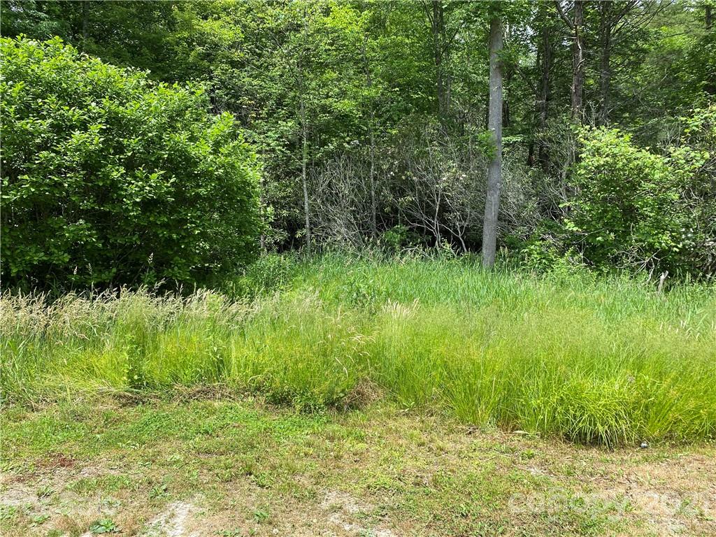 0 Thomas Road Spruce Pine, NC 28777 - Photo 5 of 10 Gallery Image 5