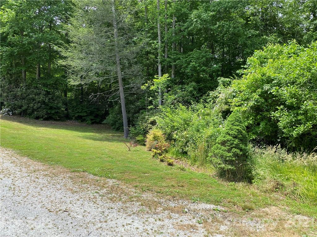 0 Thomas Road Spruce Pine, NC 28777 - Photo 6 of 10 Gallery Image 6