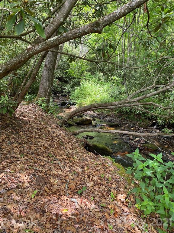 0 Thomas Road Spruce Pine, NC 28777 - Photo 7 of 10 Gallery Image 7