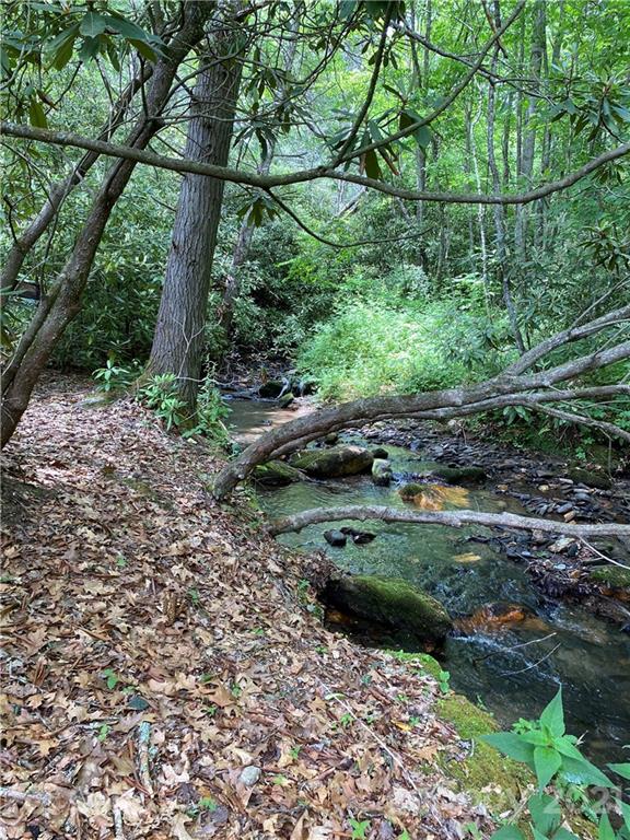 0 Thomas Road Spruce Pine, NC 28777 - Photo 8 of 10 Gallery Image 8
