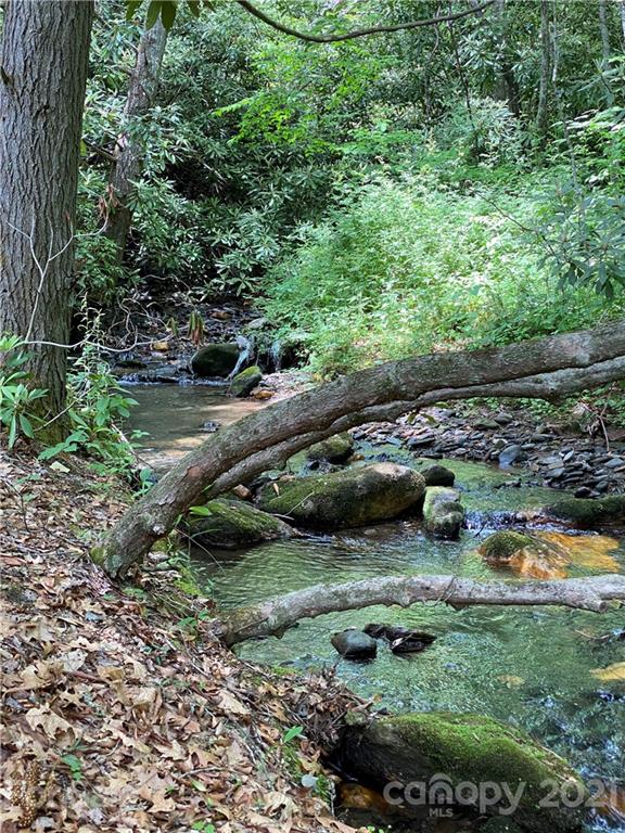 0 Thomas Road Spruce Pine, NC 28777 - Photo 9 of 10 Gallery Image 9
