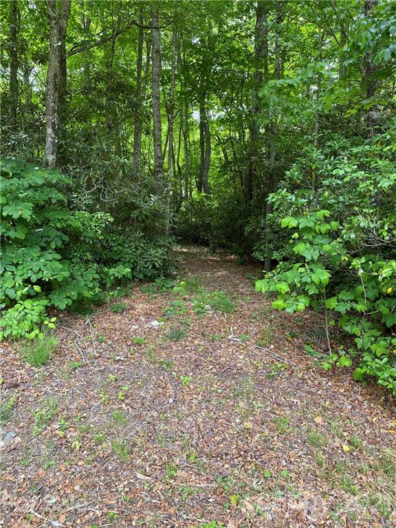 0 Thomas Road Spruce Pine, NC 28777 - Photo 10 of 10 Gallery Image 10