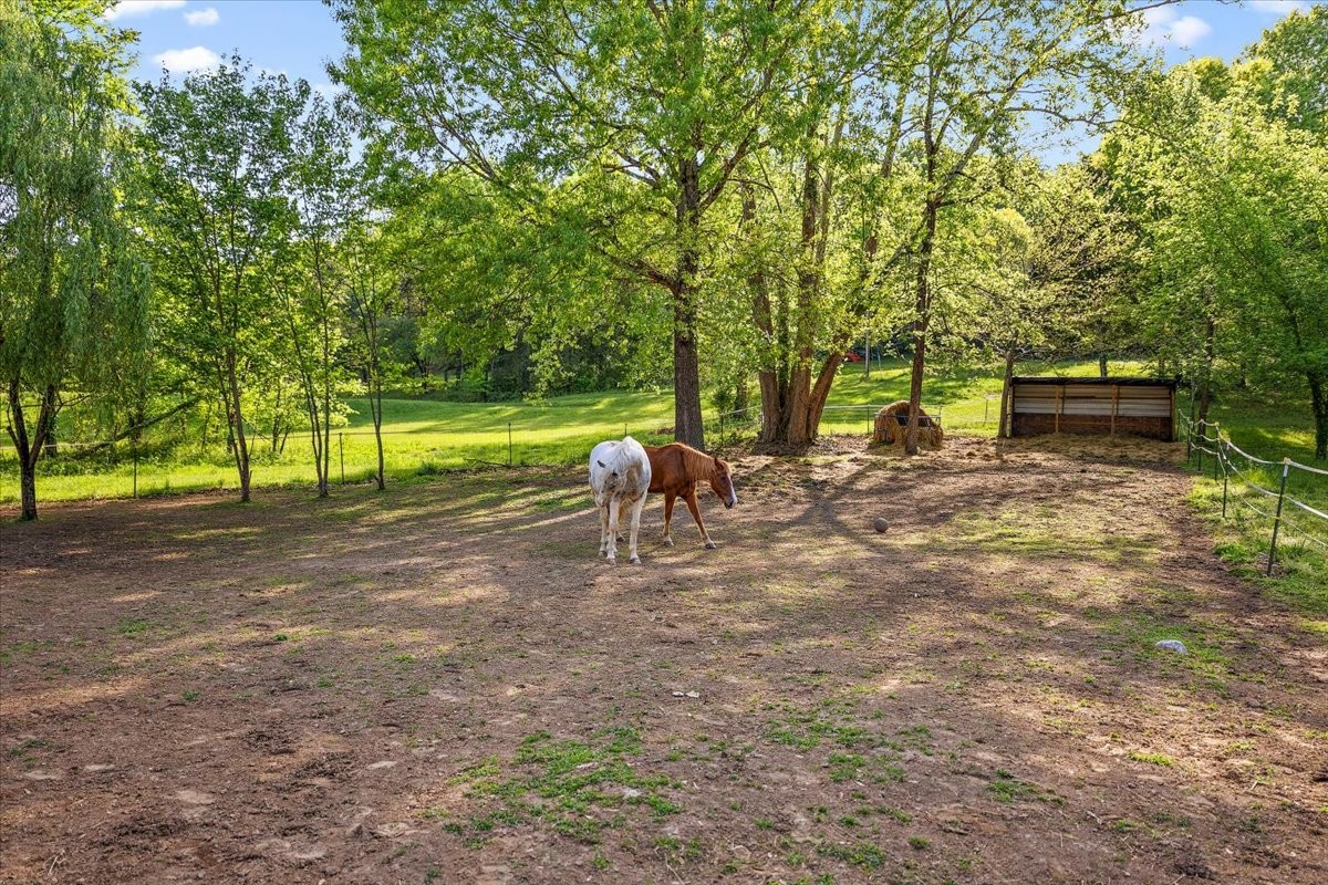 521 Hiwassee Road Lebanon, TN 37087 - Photo 40 of 65