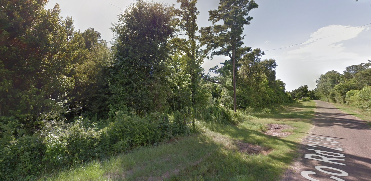 2715 County Road 2134 Cleveland, TX 77327 - Photo 4 of 8 a view of a forest with trees in the background