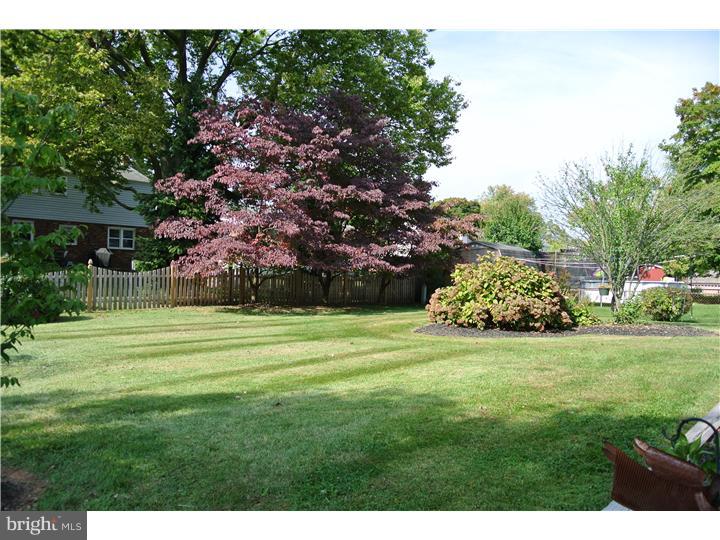 713 Springdell Road King of Prussia, PA 19406 - Photo 20 of 23 Back Yard