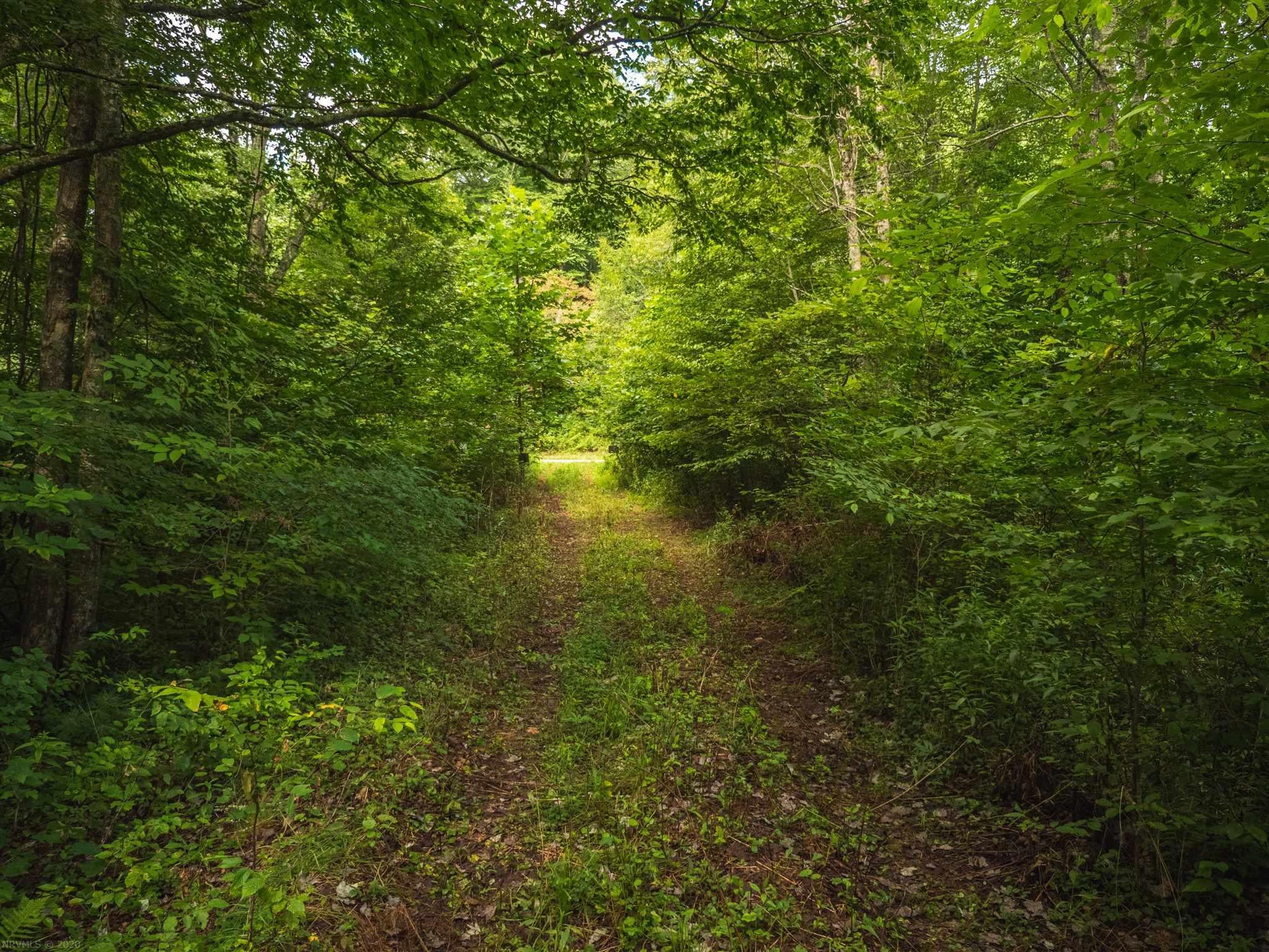 Tbd Moles Road Southwest Willis, VA 24380 - Photo 2 of 15 Gallery Image 2