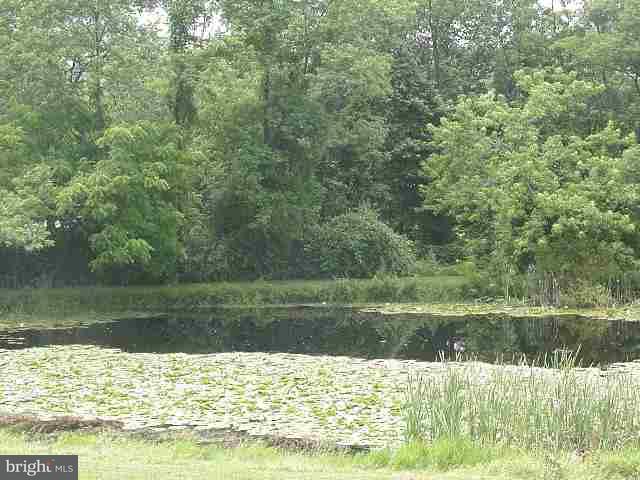 2260 County Line Road York Springs, PA 17372 - Photo 3 of 4 Gallery Image 3