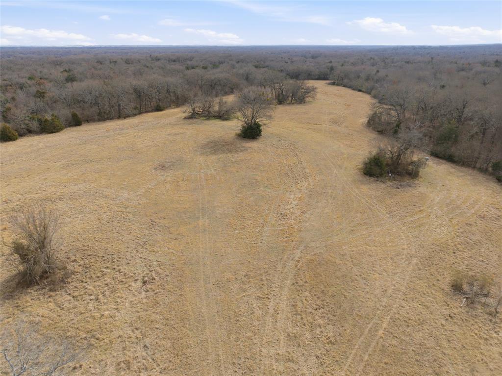 742 County Road 1144 Point, TX 75472 - Photo 14 of 28 a view of a dry yard with trees in the background
