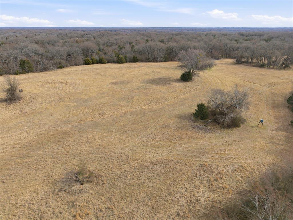 742 County Road 1144 Point, TX 75472 - Photo 15 of 28 a view of a dry yard with trees