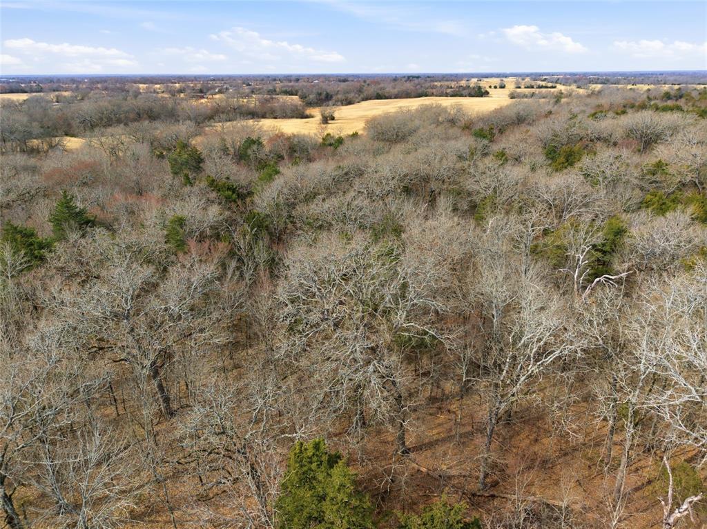 742 County Road 1144 Point, TX 75472 - Photo 17 of 28 a view of a lake in middle of forest