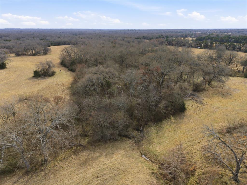 742 County Road 1144 Point, TX 75472 - Photo 19 of 28 a view of a forest next to a yard
