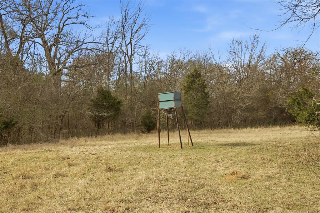 742 County Road 1144 Point, TX 75472 - Photo 25 of 28 a view of a yard