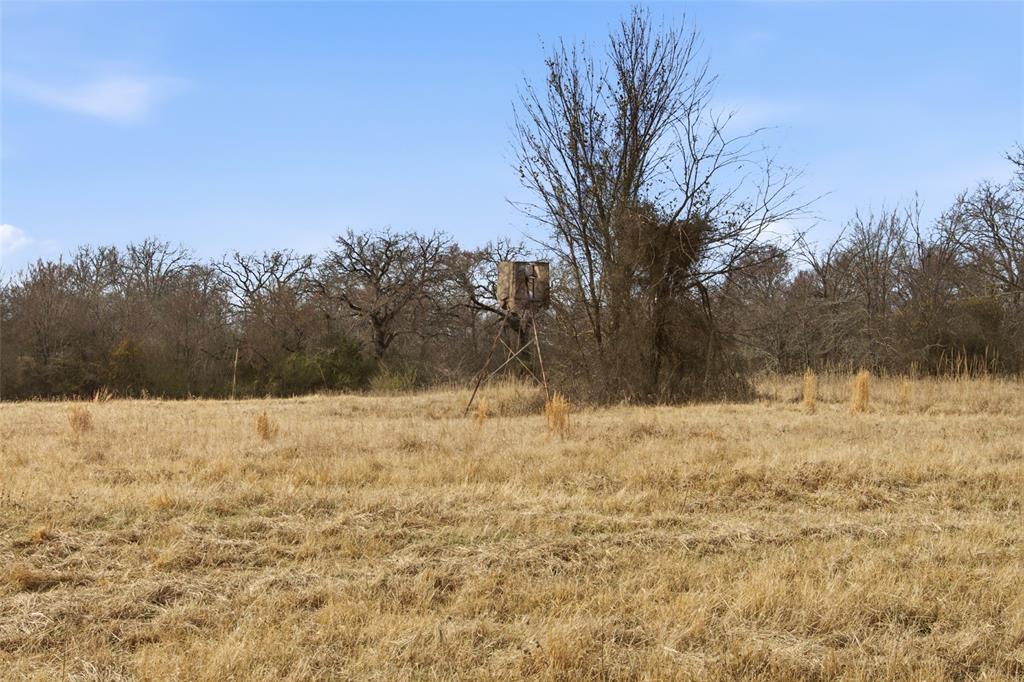 742 County Road 1144 Point, TX 75472 - Photo 26 of 28 a view of ocean view with large trees